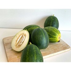 파파야메론