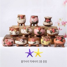 다육이고무신화분