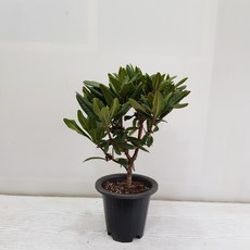 0cf9d71f21d7fa2b1a33dcde3b976ae970deb6b9d7b588c01dd3c160a9e5.jpg