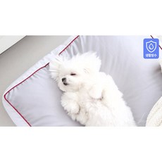 박나래기절베개속통