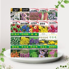 솔림텃밭몰 11월 파종 가능 꽃 야생화 씨앗 모음, 1. S구절초 1000립, 1개