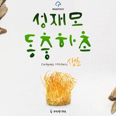 성재모동충하초 생초 80g X 4통 부모님선물 현미, 건강식품