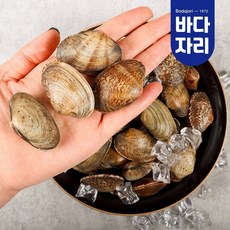 당일어획 남해안 다이버 바지락 1kg,...