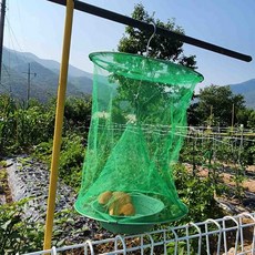 추천10 말벌트랩