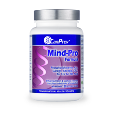 독학사인지신경심리학