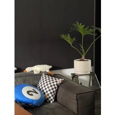에잇볼쿠션