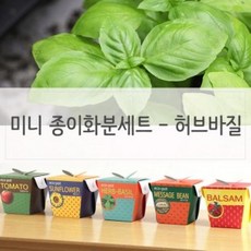 UJW400272키우기쉬운식물 미니 페이퍼화분 씨앗세트 허브바질