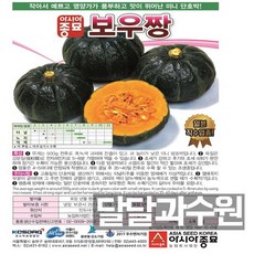 아시아종묘 단호박 보우짱 씨앗종자 단호박씨 단호박씨앗, 100개입