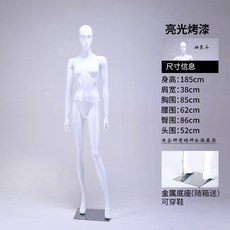 빛전시회