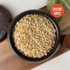 24년산 국산 햇보리쌀 햇 늘보리쌀 늘보리 널보리 꽁보리 옛날보리, 1개, 1kg