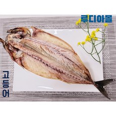 2021-최고의-캠핑-생선구이-TOP-5-선택-및-구매-가이드
