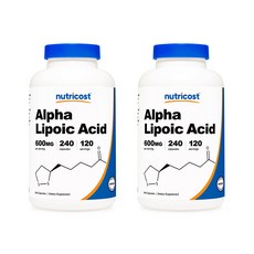 코스트코팬히터