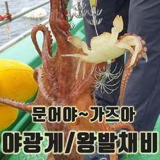 대왕꽃게