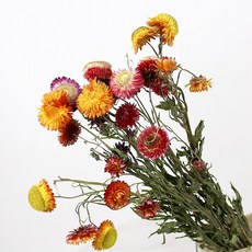 ec5f98ad0bcb6d784dc08a53254a999efe52a9d35efbbc651bbb69aea136.jpg