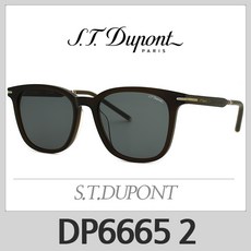 듀퐁 선글라스 DP6665 2 에스티듀퐁 S.T. DUPONT