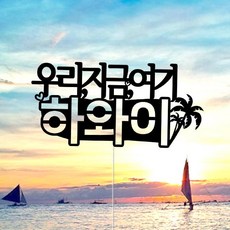 [유어베프]_하와이 여행토퍼 1427 폴라로이드 ☆☆☆ 유어베프, ☞구매선택_상품선택☆