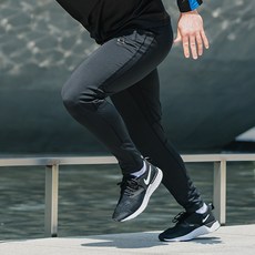팬플러스