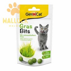 워럭이 고양이 영양제 50G 고양이캣그라스씨앗 고양이간식