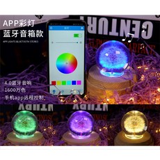 민들레 뮤직박스 오르골 블루투스 음향 독창적 스승의날 선물 정, APP /블루투스 음향 /곱게 꾸민