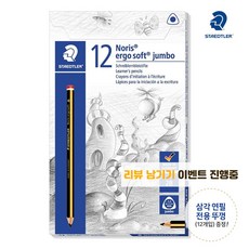 스테들러에고소프트