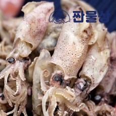 건조꼴뚜기