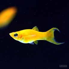 7eec8af8b8dd4cebbc452eeb496655ea7245b1194c1cf5a9ec9d820a42e4.jpg