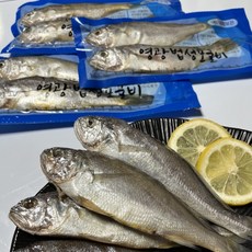영광 법성포 참굴비 진공포장 10미 20미 30미 국내산 참조기, 1세트, 특대