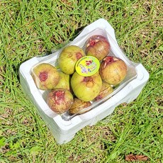 무화과 전남 영암무화과 15~20개내외 1KG 2KG, 1박스
