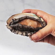 수락수산 [목포수락수산]신안 흑산도 전복 1kg 14~15미, 14마리