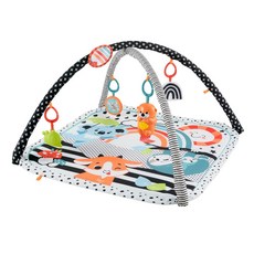 피셔프라이스(fisher price) 감각을 키우자 라코의 두근두근 뮤지컬 짐 [생일(0개월)~] HBP41, 상세페이지 참조