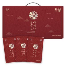 황금이네 정읍진 쌍화차 진액, 100ml, 15개입, 1박스 1개, 15개입