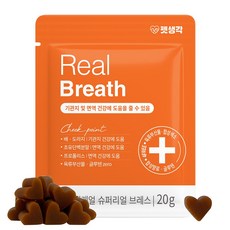 펫생각 데일리케얼 리얼배도라지 강아지 기관지 영양제 기침 협착증 체험팩 20g 10정, 1개 - 펫생각데일리케얼