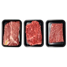 1+고급육 한우 설 명절 선물세트(등심+국거리+산적 총900g) 구정 회사 직원