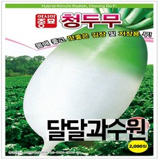 아시아종묘 무씨앗 청두무 (2000립), 1개