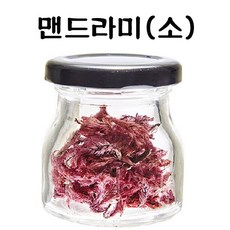 84 소주샵 / 올차 맨드라미 2g 4잔 선조들이 즐겨 먹은 식용꽃의 원조 달고 은은한 향 꽃차 식품 가공식품 기타 꽃/잎차, 단일 총 수량