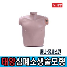 심폐소생술 CPR 교육 실습 모형 몸체스킨써니_몸체