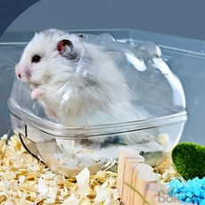 보기오기 햄스터 집 햄스터집세트, 대, 1개