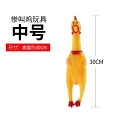두다피트니스
