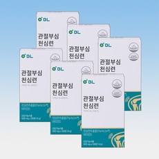 비엘 관절부심 천심련 천심련추출물 비타민D3 안드로그라폴라이드 28정 6박스 24주분