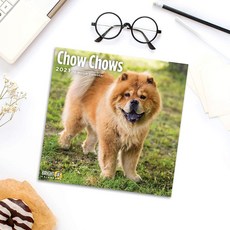 YEDD 2021 Chow Chows Wall Calendar by Bright Day YEDD 2021 Chow Chows 벽걸이 달력 by Bright Day 12 x 1, 1개, 249.48g