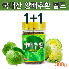 유기농마루양배추환