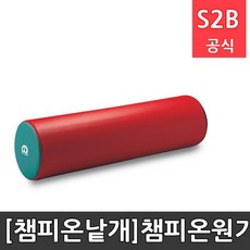 체육원기둥