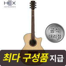 [최다구성품지급] 헥스 호넷 GA400CE/ GA바디/ 탑백솔리드/ 픽업장착