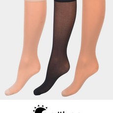 썬패션판타롱스타킹