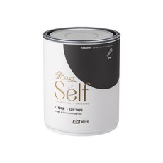 아파트현관문페인트