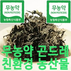 강원도애호박