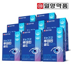 일양눈건강간건강