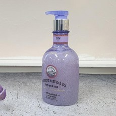 lg바디스파