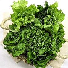 [당일수확산지직송] 유러피안 샐러드 모듬 야채 채소 4-5종 1kg, 1개