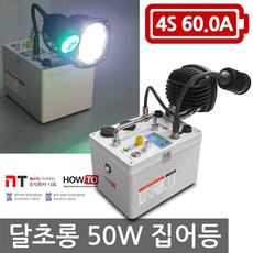 달초롱